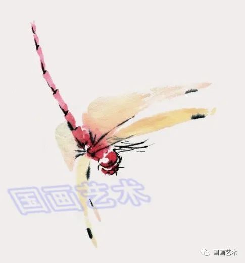 图文教程:写意蝴蝶,蜻蜓画法范例_国画艺术_零二七艺考