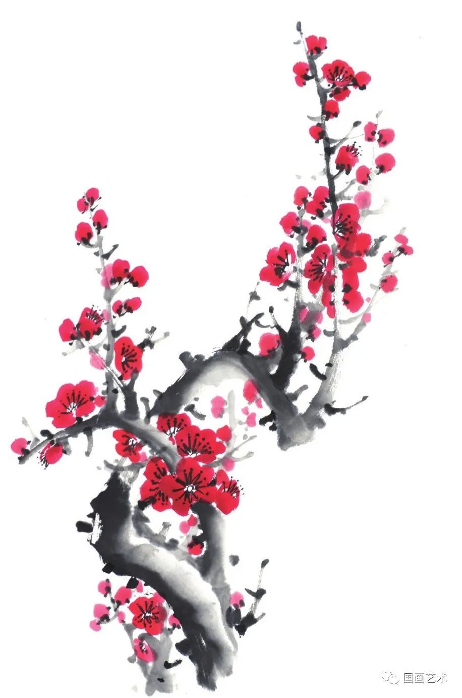 图文教程:白梅,红梅,腊梅写意画法示范_微国画_零二七艺考