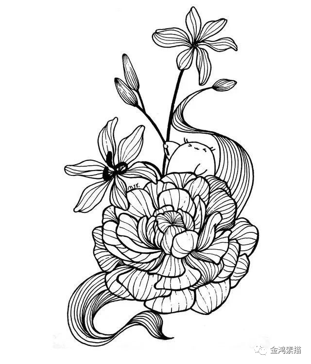 黑白线描分享