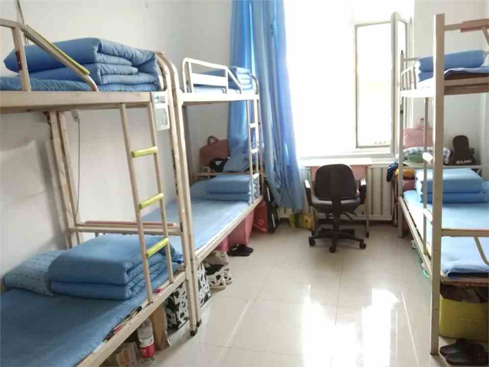 枫叶工程|标杆寝室养成攻略_大连枫叶职业技术学院_零