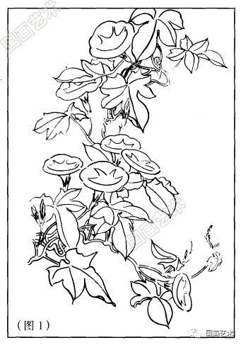图文教程学画写意牵牛花