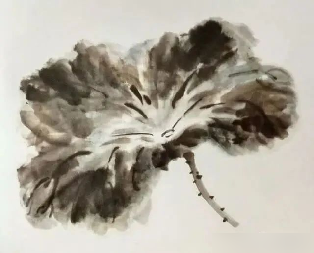 国画教程水墨荷叶各种形态的画法