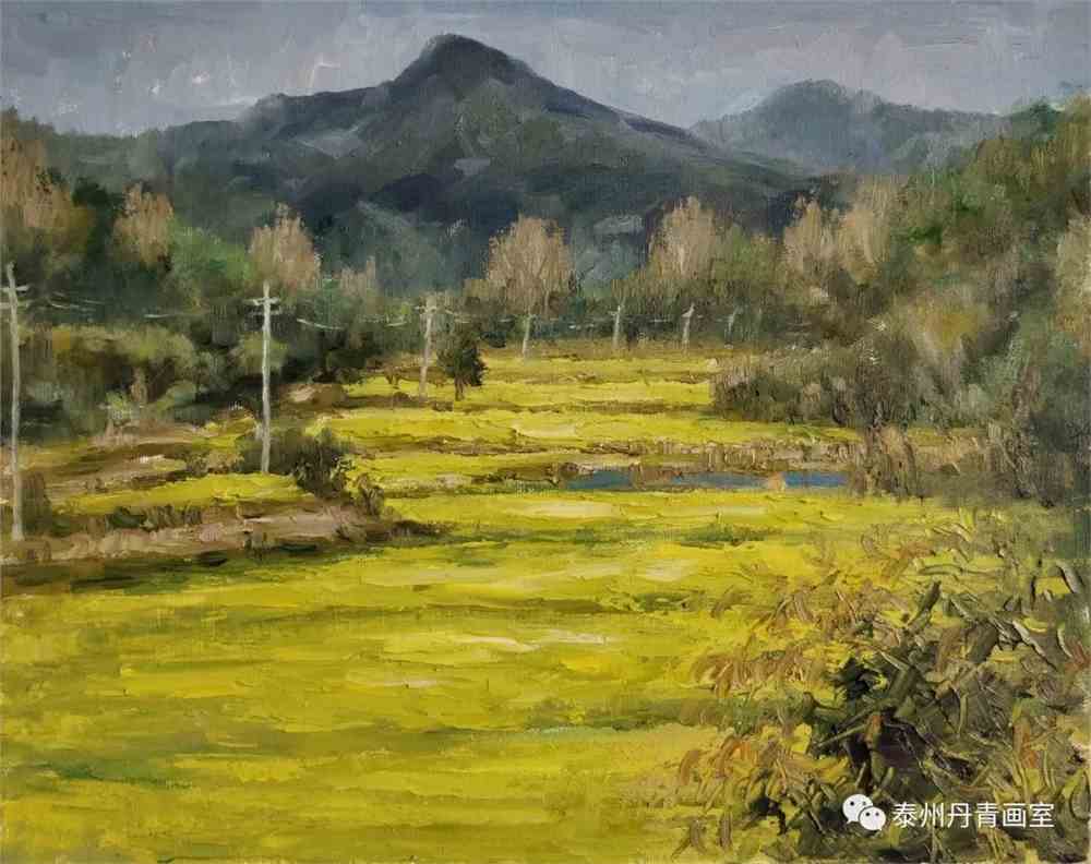 杨晓东近期油画风景写生作品选