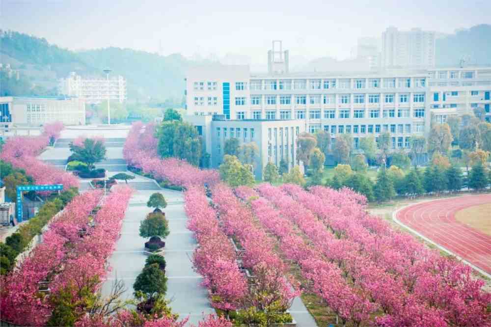 湖北工业职业技术学院