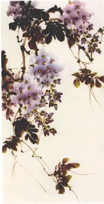 【国画教程】写意紫藤花画法