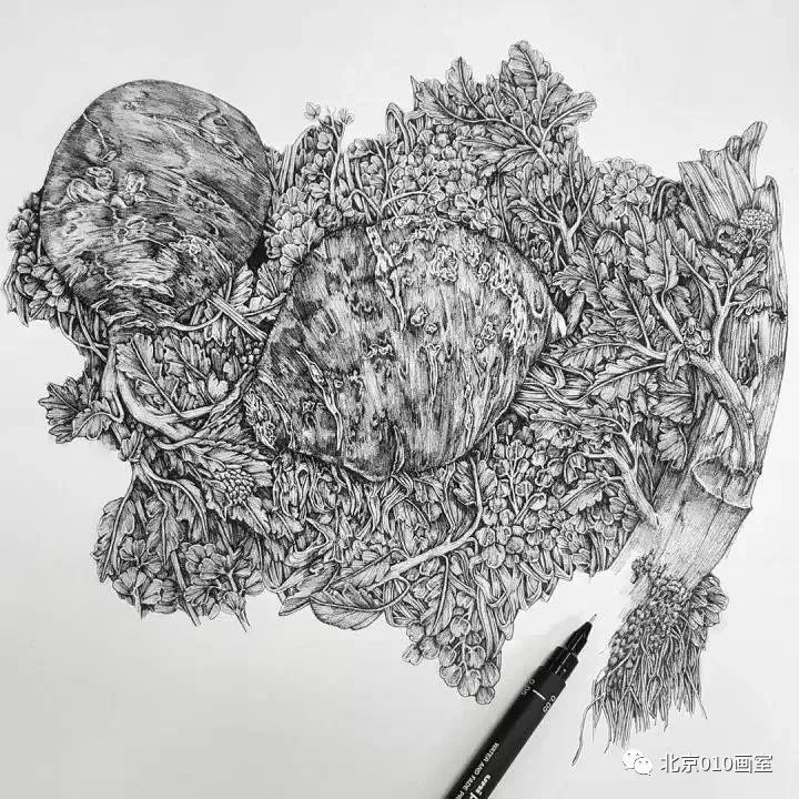 针管笔素描细腻到让人恐怖,画出来的作品让人沉迷!
