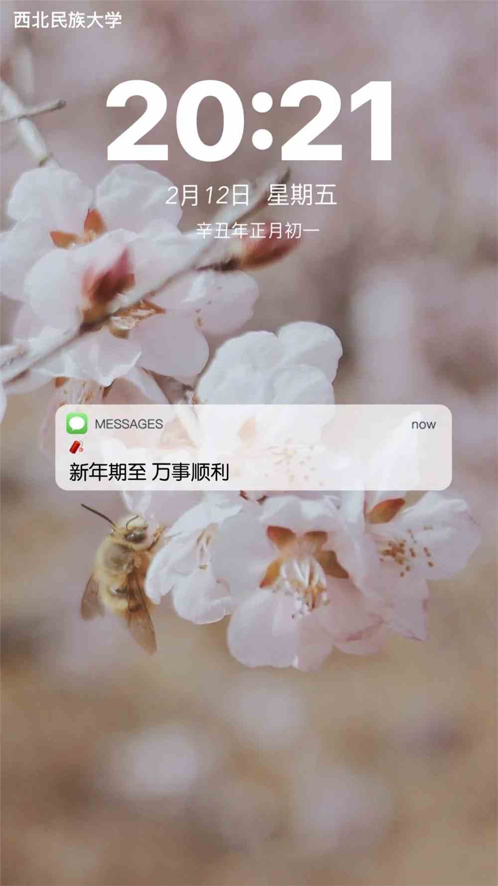2021全糖去冰!快来查收属于你的民大新年壁纸吧