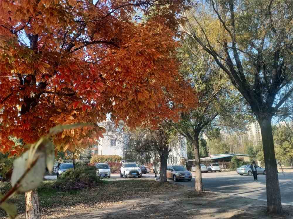 沈阳理工大学