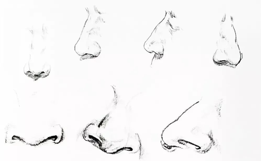 【品川·分享】速写解析 | 速写中鼻子与嘴的画法解析