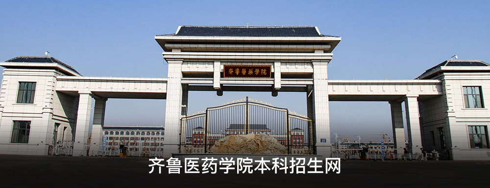 齐鲁医药学院招生网