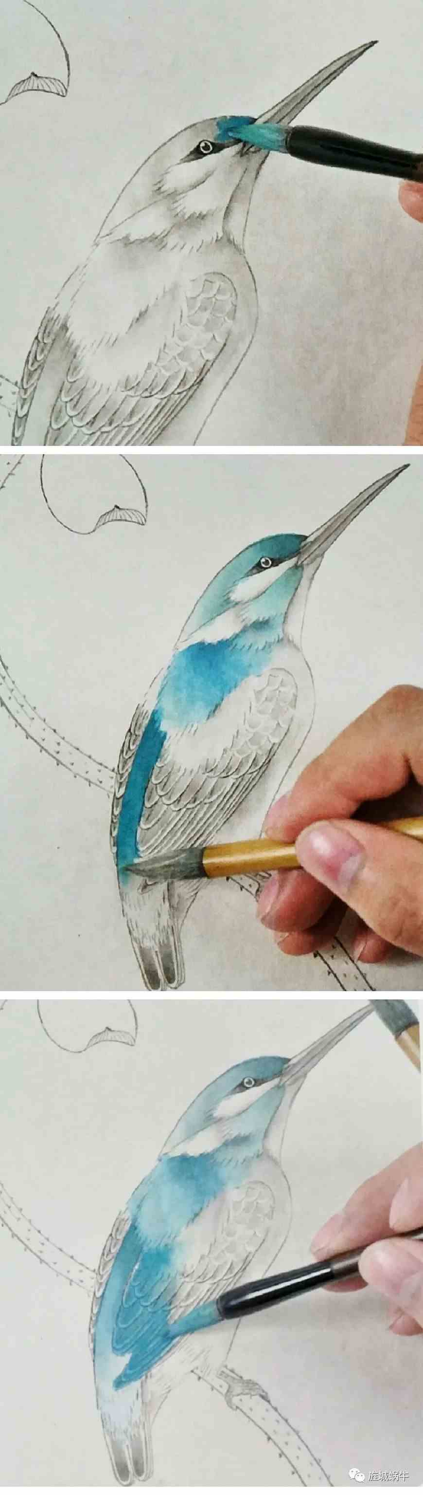 工笔技法分享翠鸟的详细画法及其着色步骤
