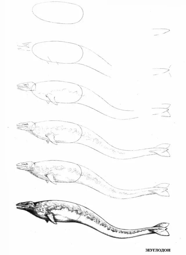 这50个海洋生物画法快拿去收藏