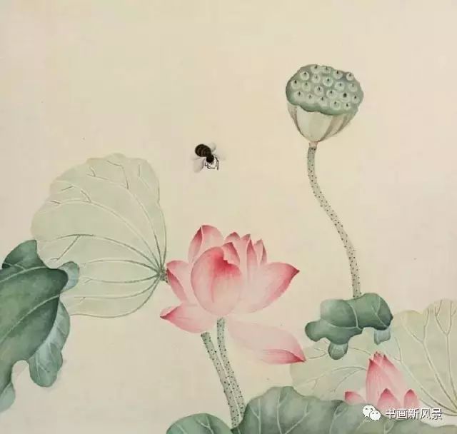 《故宫画谱》教你画荷花!_国画教程大全_零二七艺考