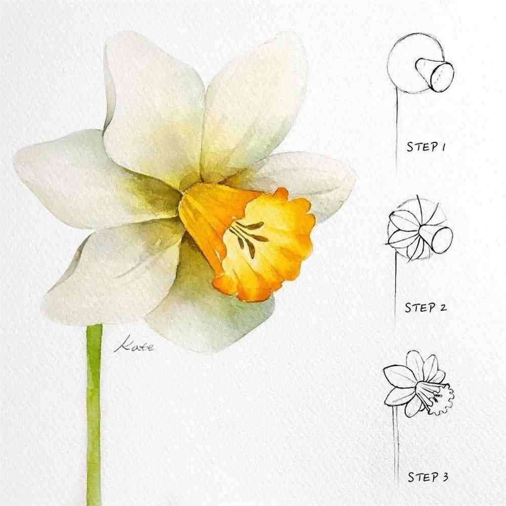 小清新水彩花卉,临摹起来吧~有线稿步骤图_水粉_零