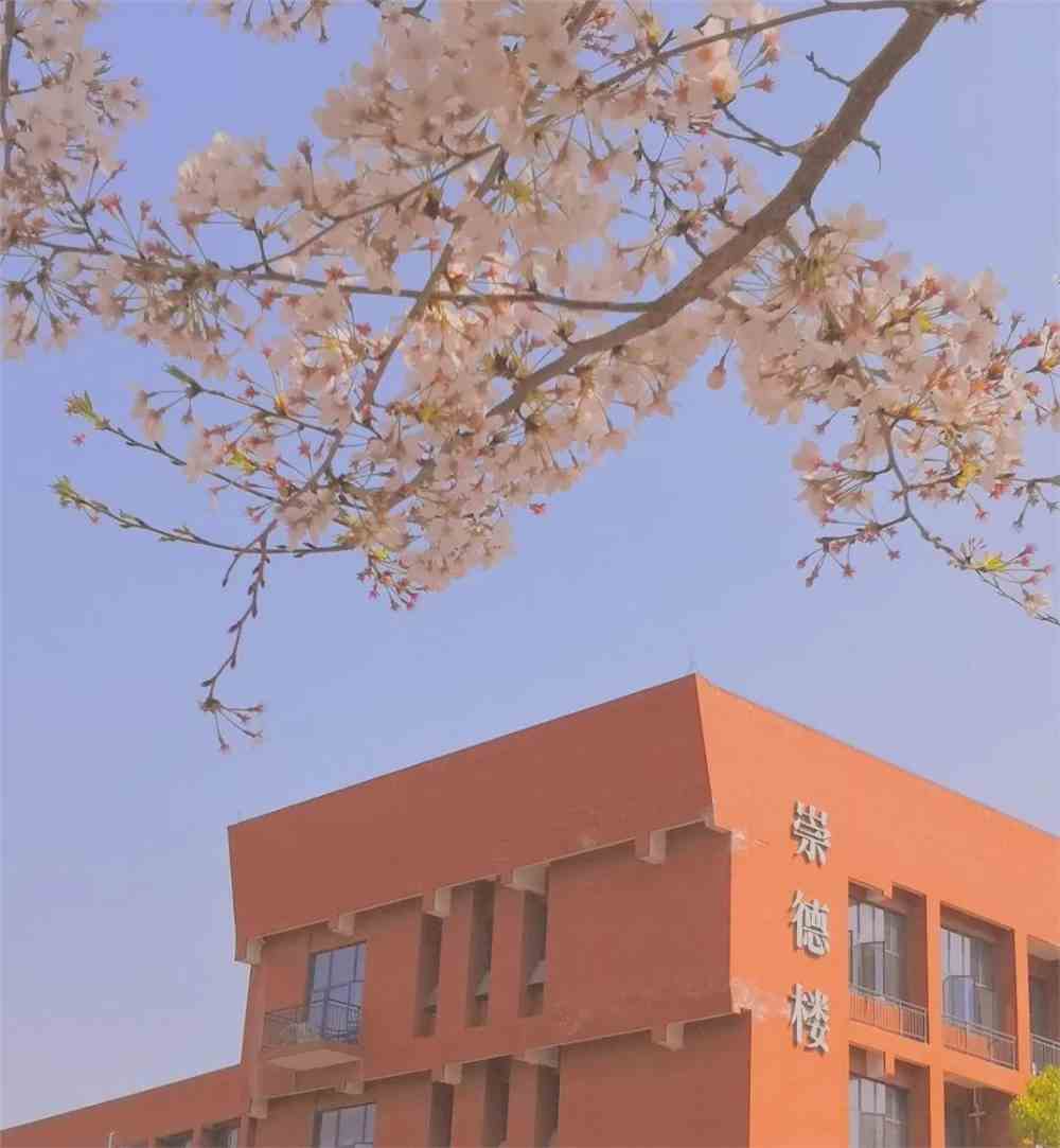 贵州大学