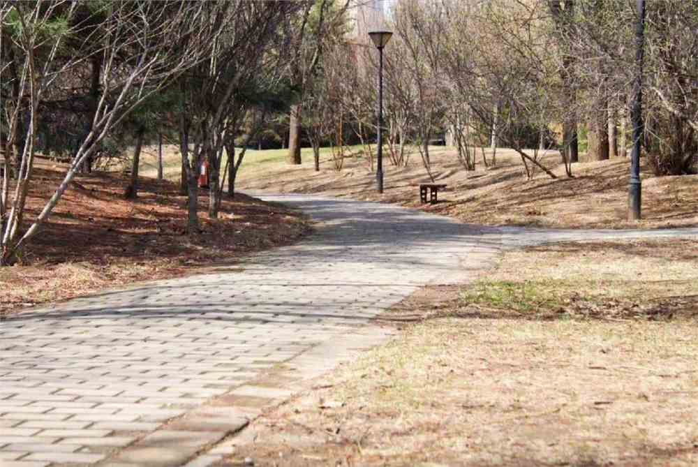 许久未见,燕理想把春天当做礼物送给你_燕京理工学院