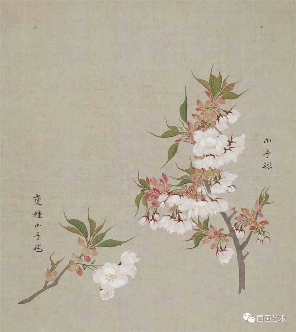 《花谱》定格的樱花之美_国画艺术_零二七艺考
