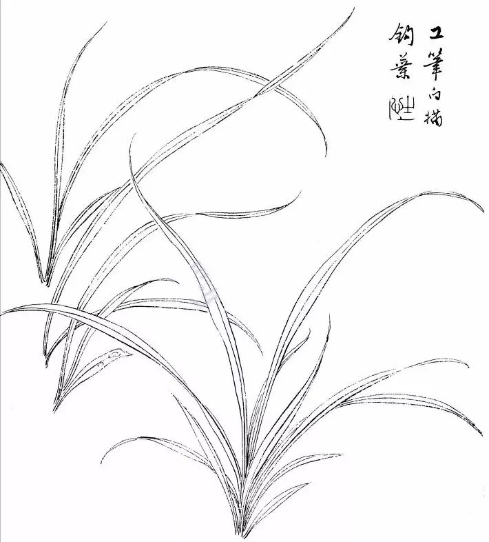 勾叶时自根至实,如线条太长,一次画去,笔力将趋于软弱,为蓄笔力,至中