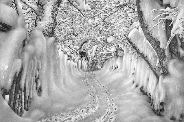黑白雪景画而是这不是拍的一件事反复做.