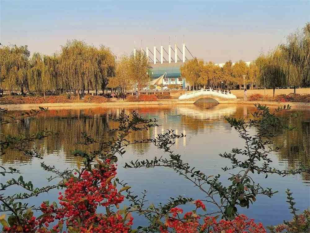 周口师范学院
