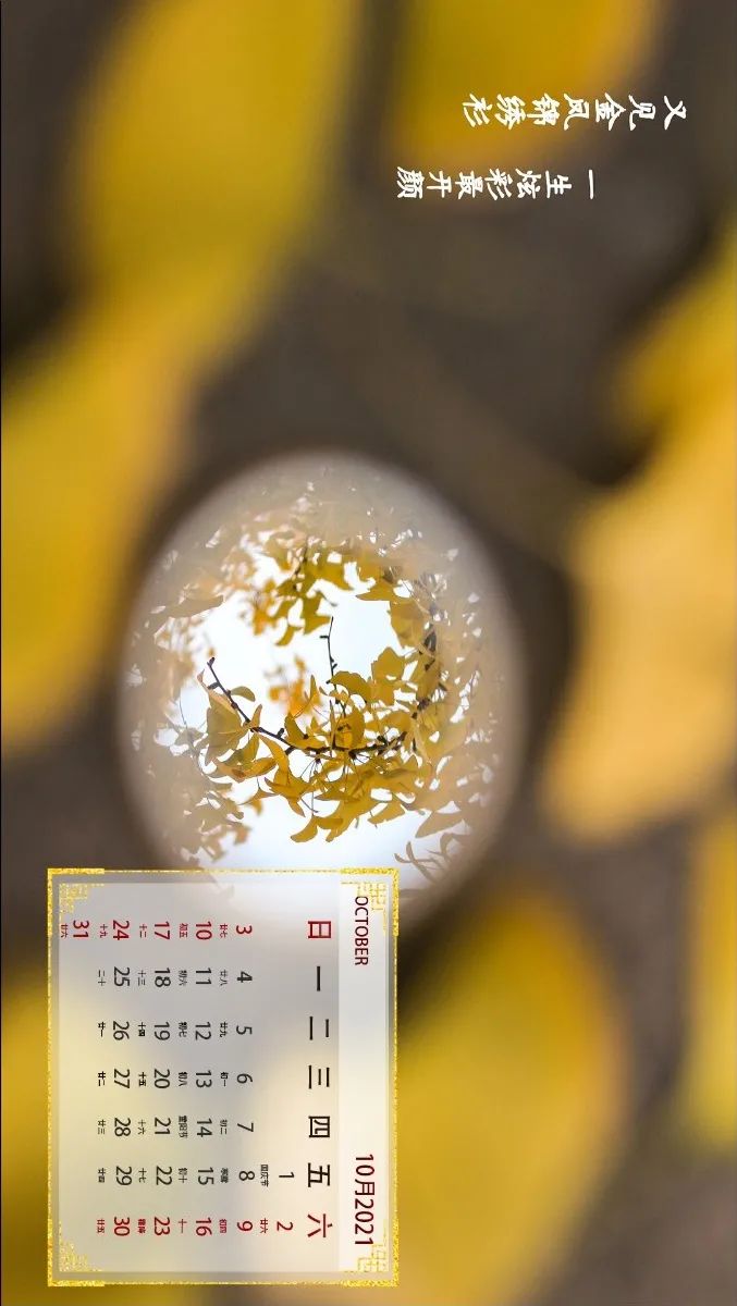 2021 七月 2021 八月 2021 九月 2021 十月 2021 十一月 2021 十二月
