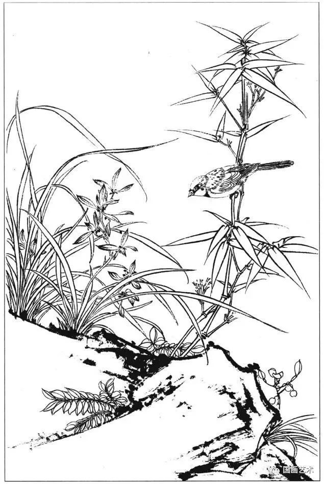 花鸟鱼虫白描画谱分享收藏了