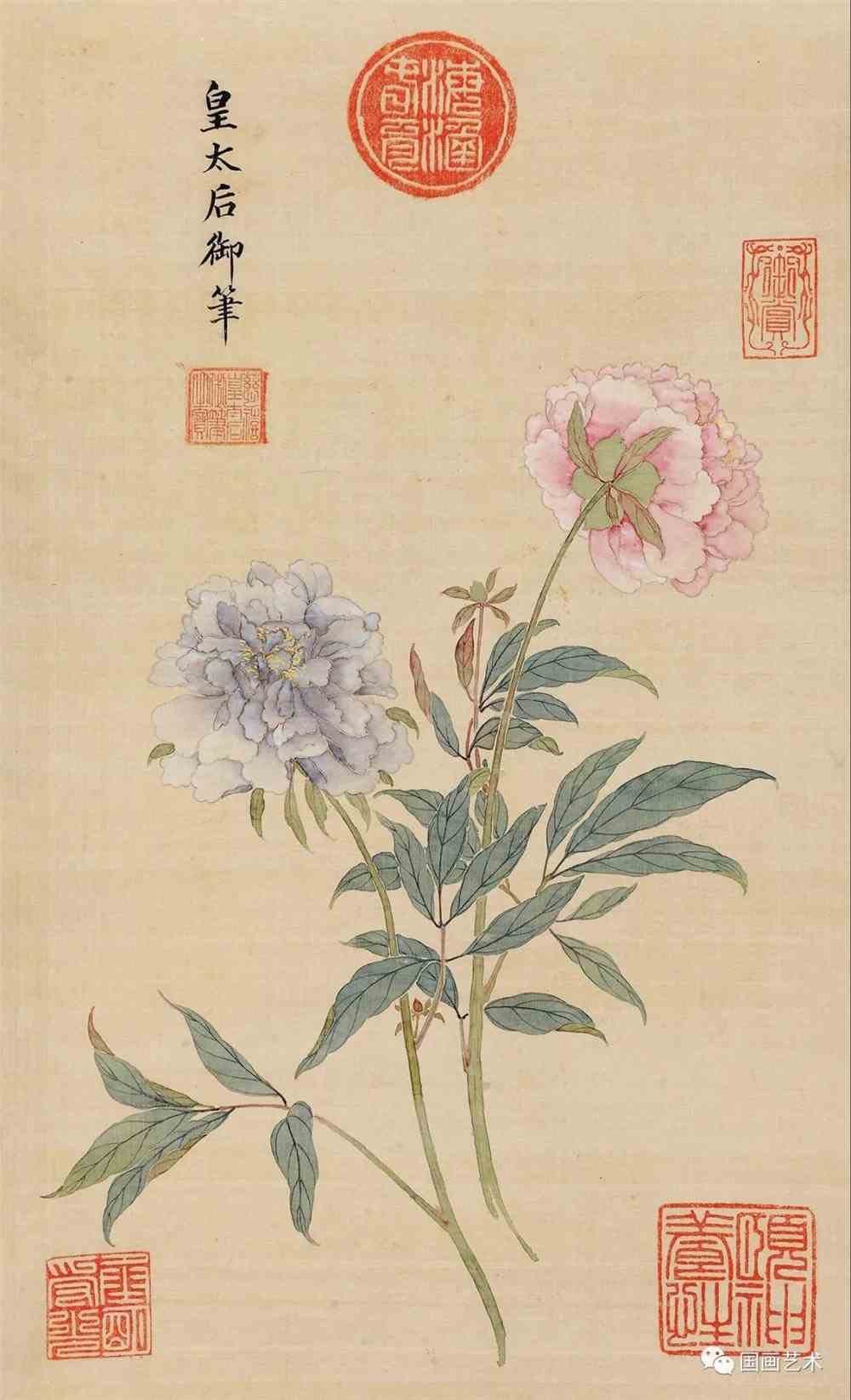 五月芍药开一起赏国画中的芍药