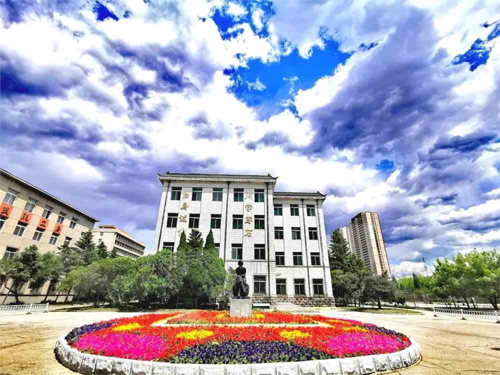 辽宁石油化工大学