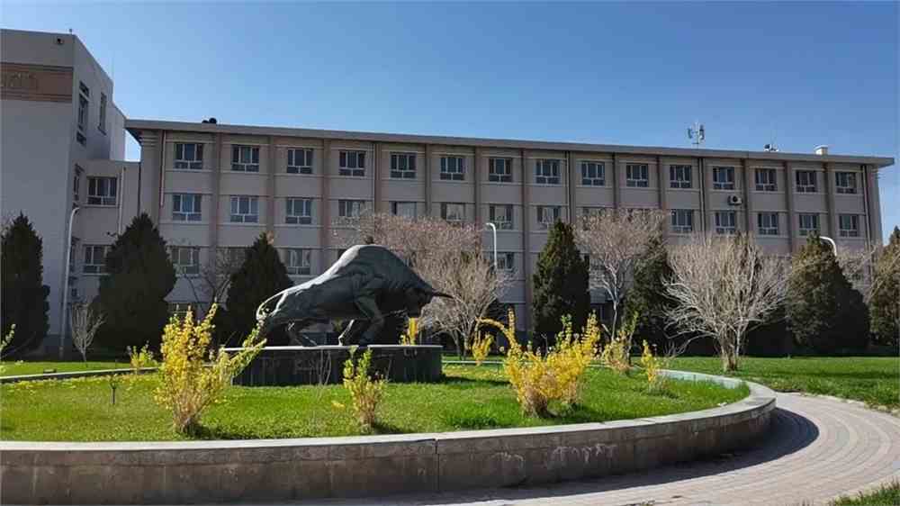 艺考 新疆本科院校 喀什大学 新媒体 公众号 喀什大学 师范类专业认证