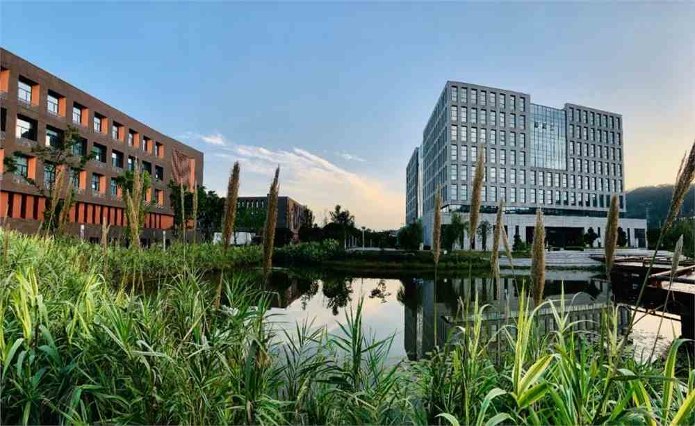 西华大学宜宾校区真不错