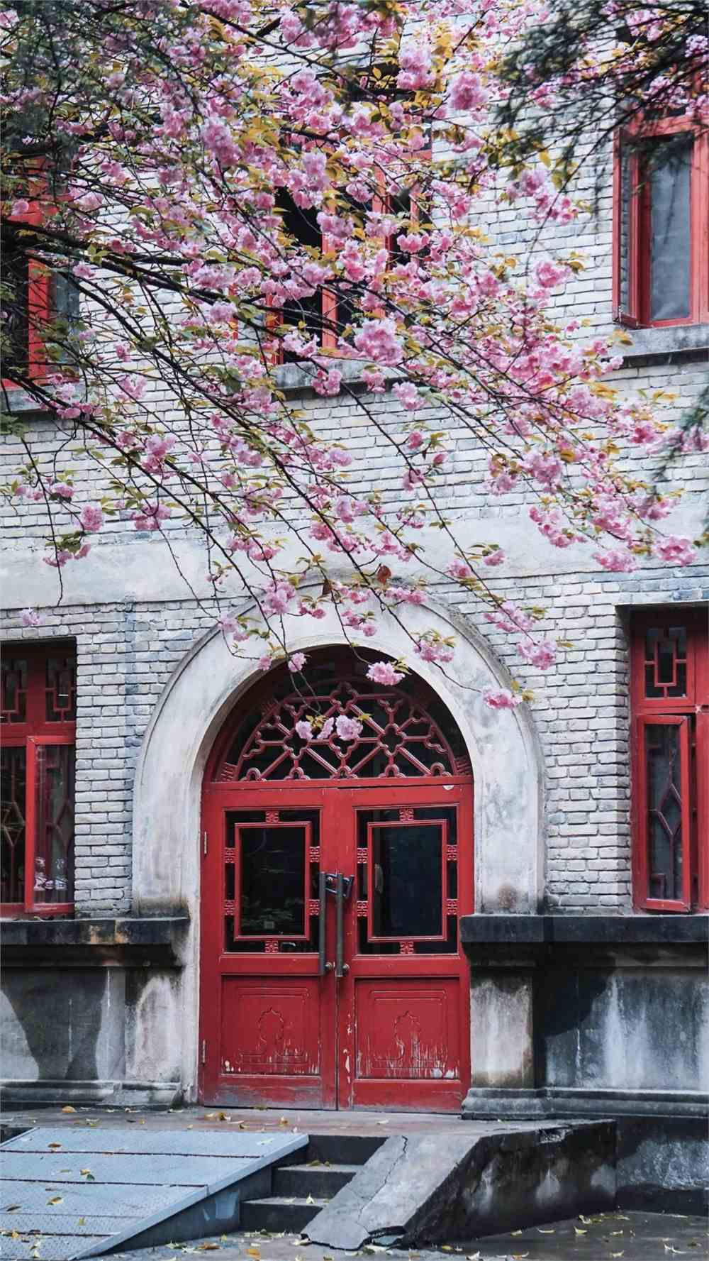 陕西师范大学,你值得!_陕西师范大学_零二七艺考