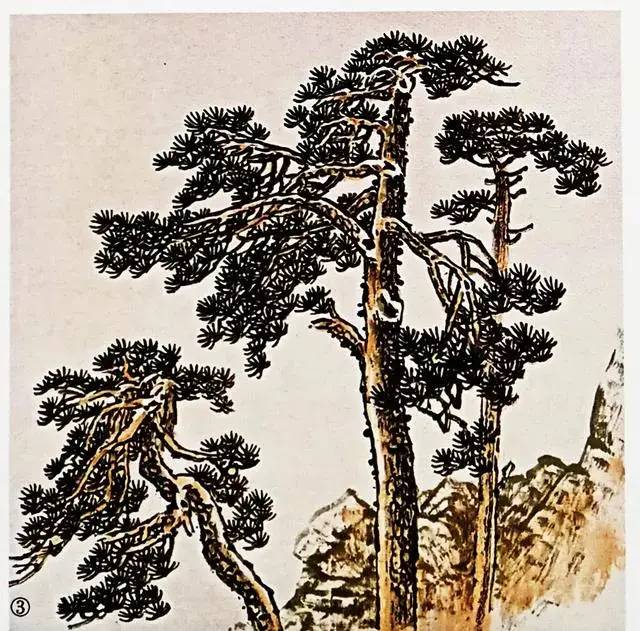 国画技法松树的各种画法图解