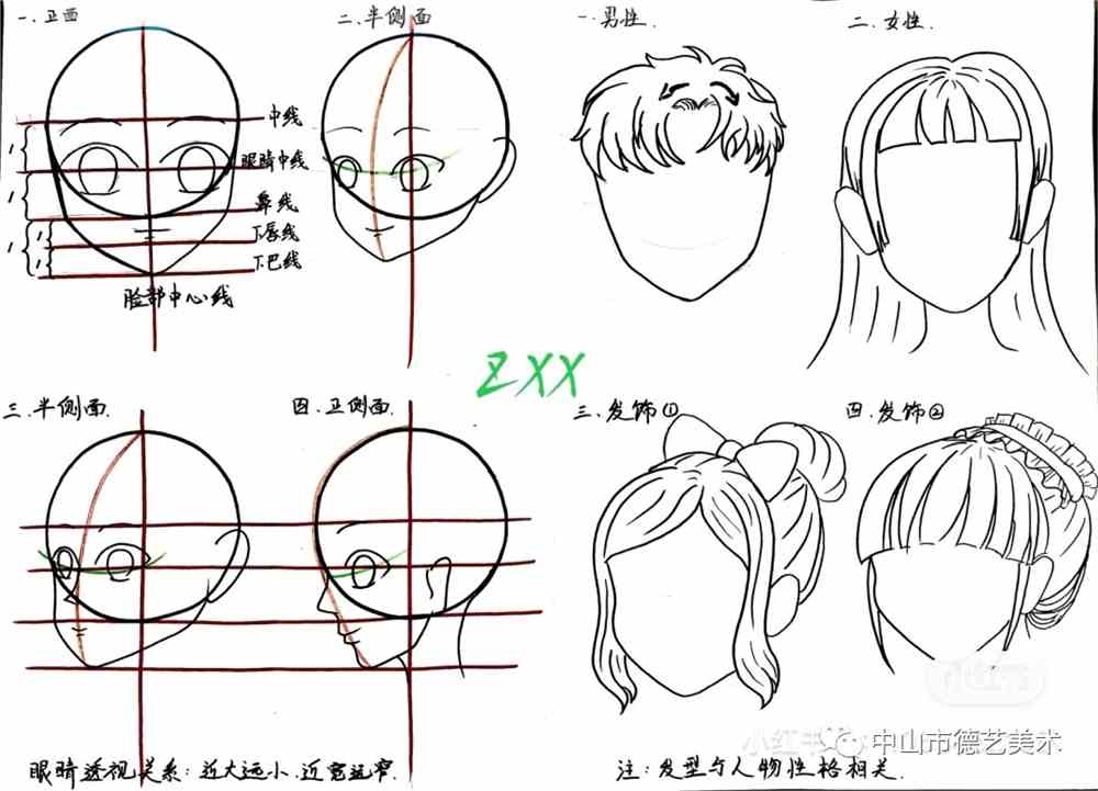 《头部画法及比例关系》  专题知识