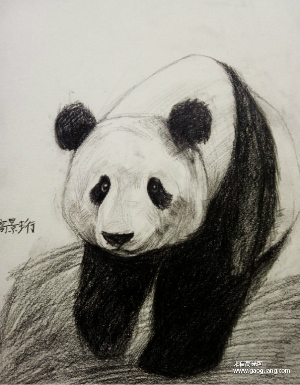 熊猫趣味素描创意少儿美术作品