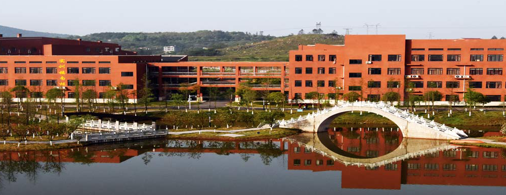 湘中幼儿师范高等专科学校2021录取查询官方入口
