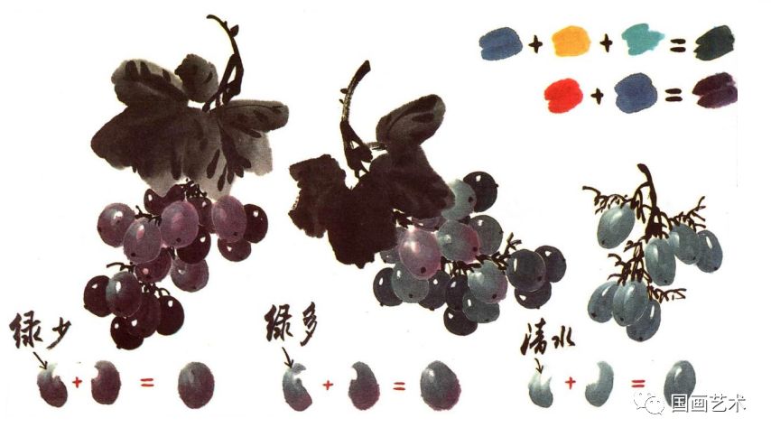 图文 视频:跟徐湛老师学画葡萄