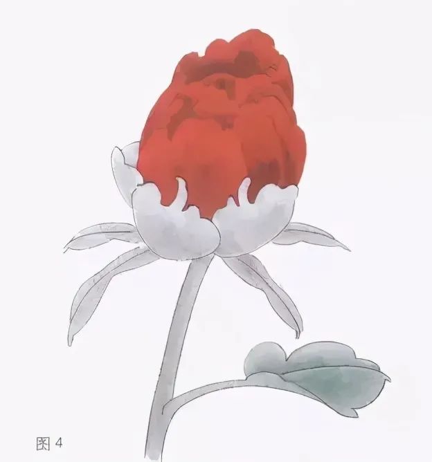 国画教程淡彩牡丹画法