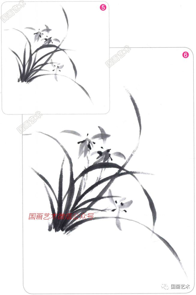 在兰叶间以淡墨画出兰花的形态,并以浓重的墨色点出 花心.