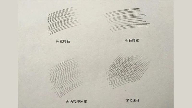 素描排线练习中需把握排线之间的疏密,轻重关系,还有排线的方向以及