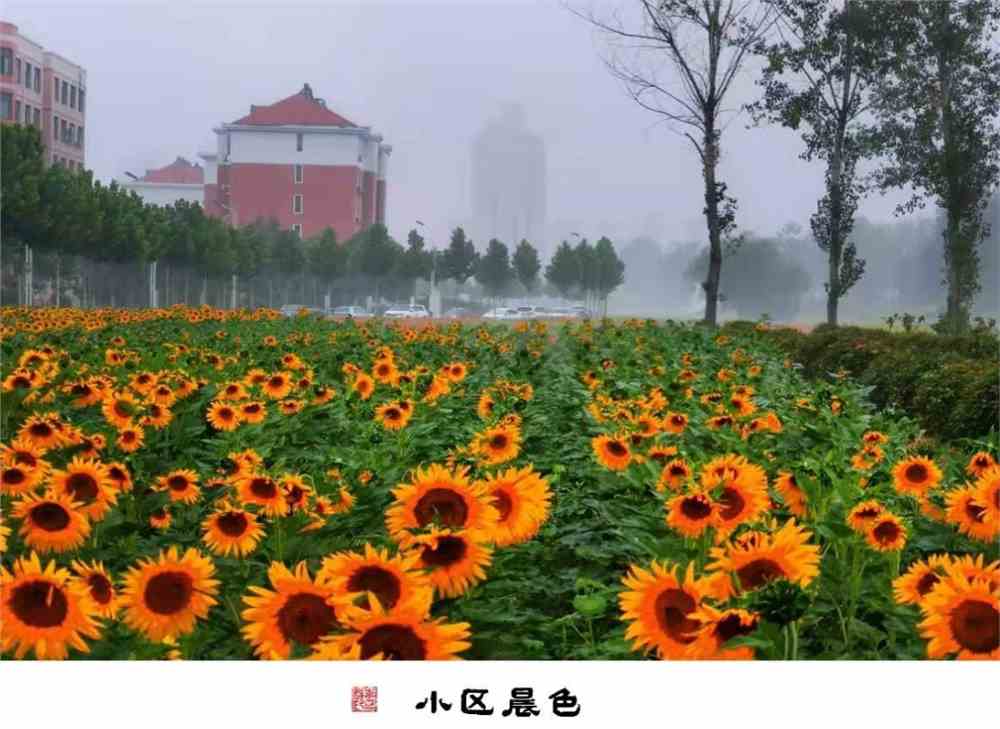 "校花",来了!_河南理工大学_零二七艺考