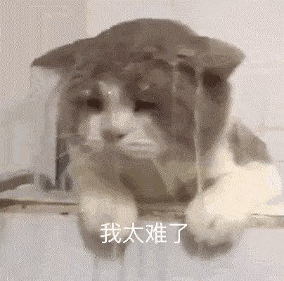 404_400gif 动态图 动图
