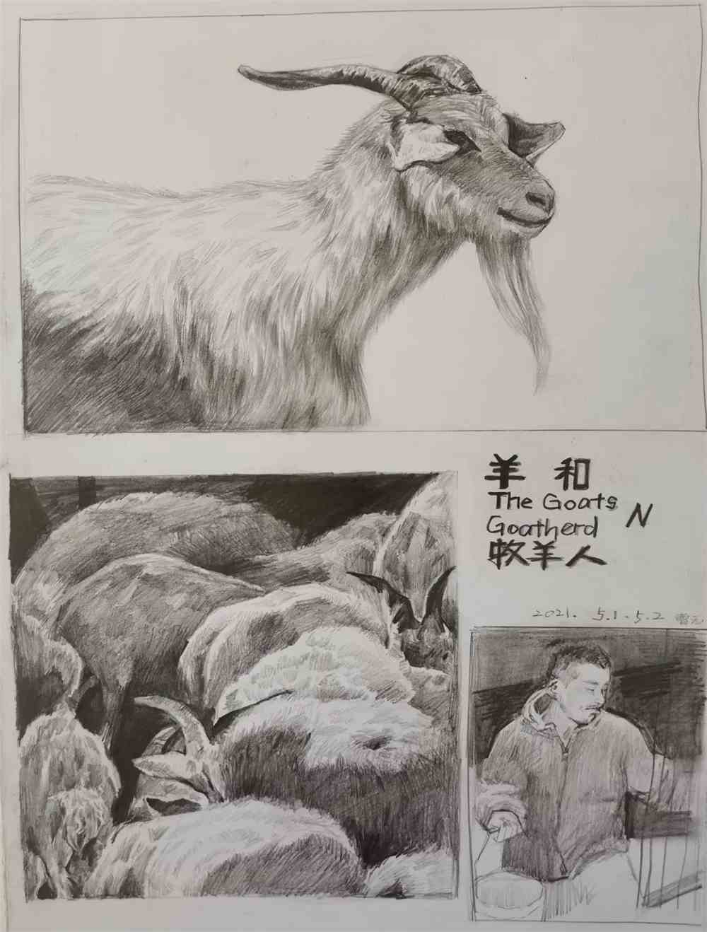 20级视传7班 曹元 《羊和牧羊人》