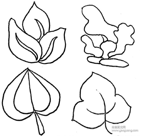 简单漂亮的叶子简笔画,不同造型的叶子素材图集