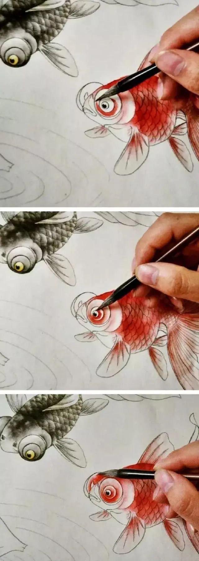 超详细的步骤教你画工笔金鱼_国画艺术_零二七艺考
