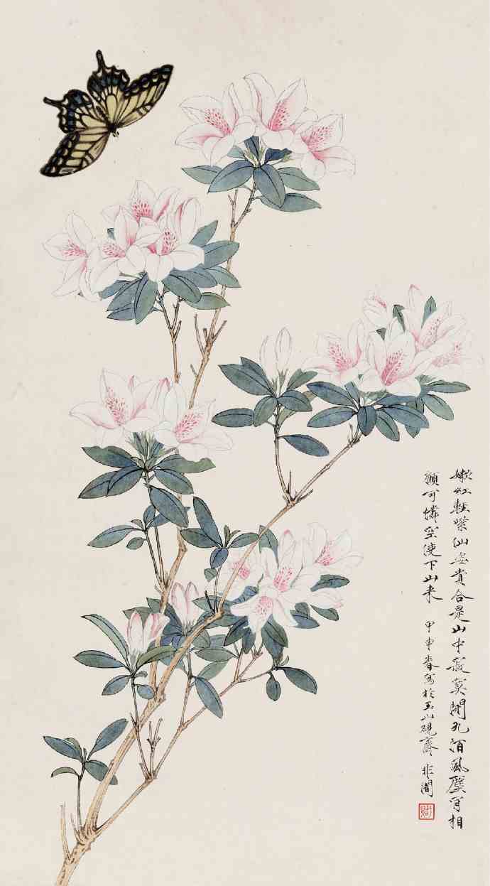 一组花卉工笔画图片,工笔画花卉怎么画好看