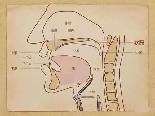李健&王力宏:"声乐才是难学的",声乐为什么这么难学?