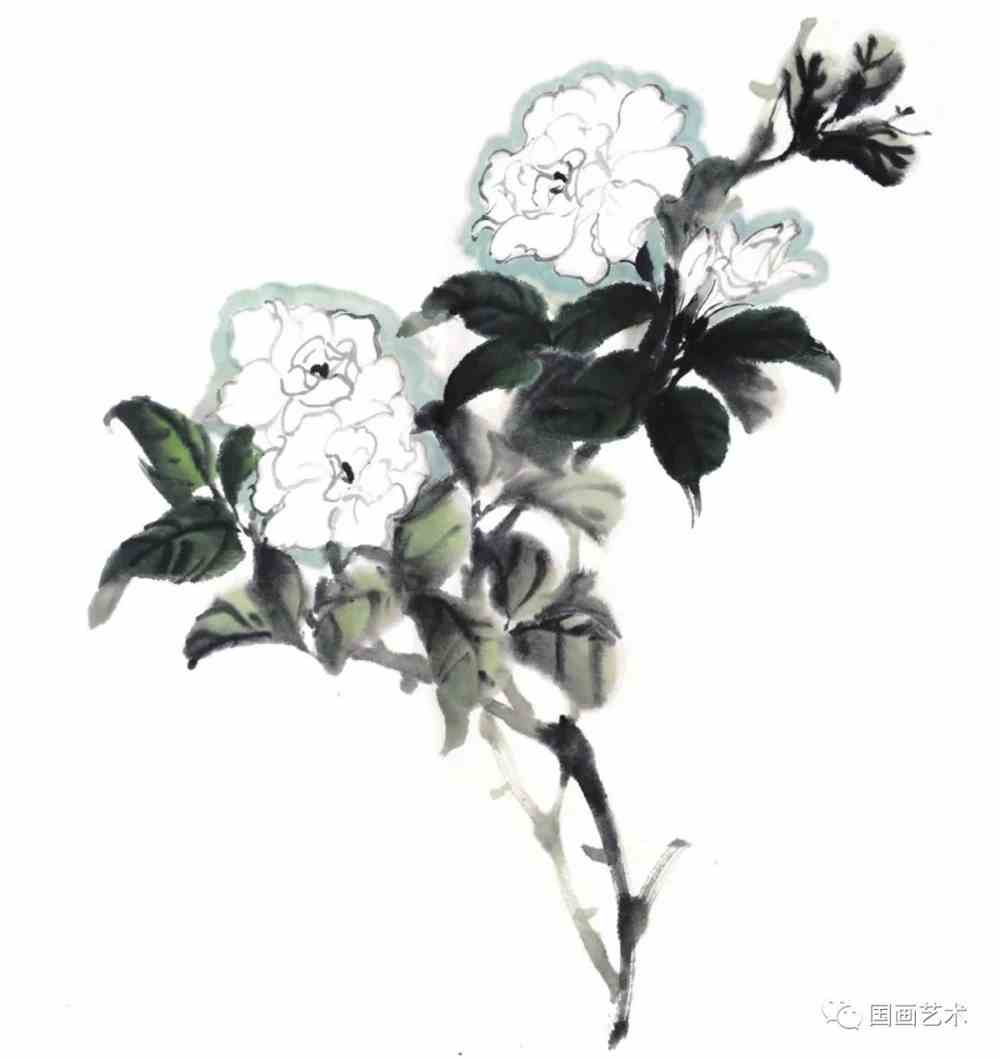 栀子花姿态参考