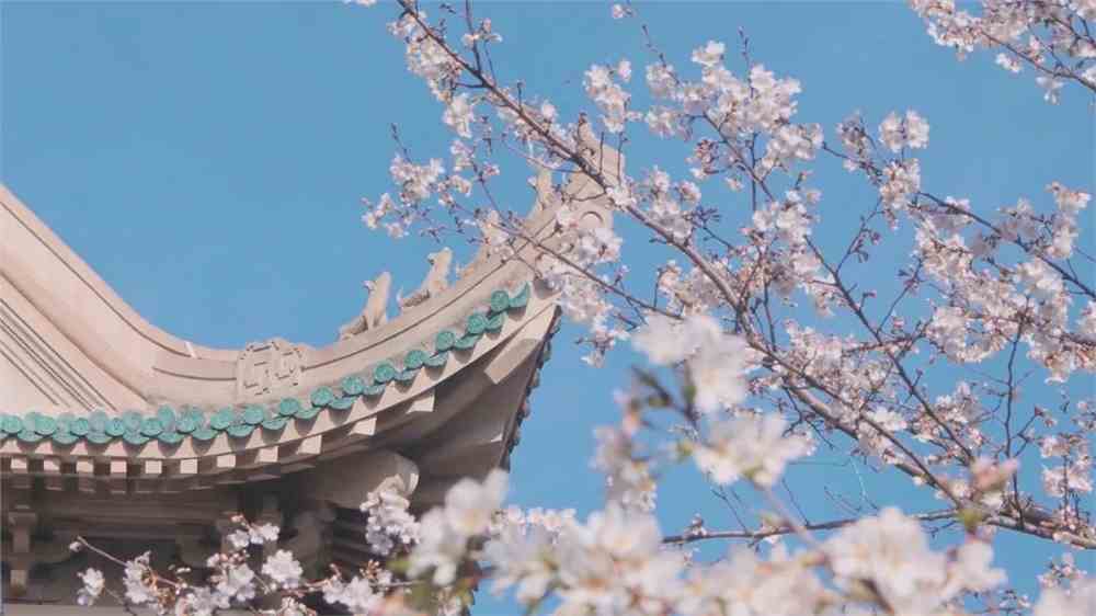 武汉大学