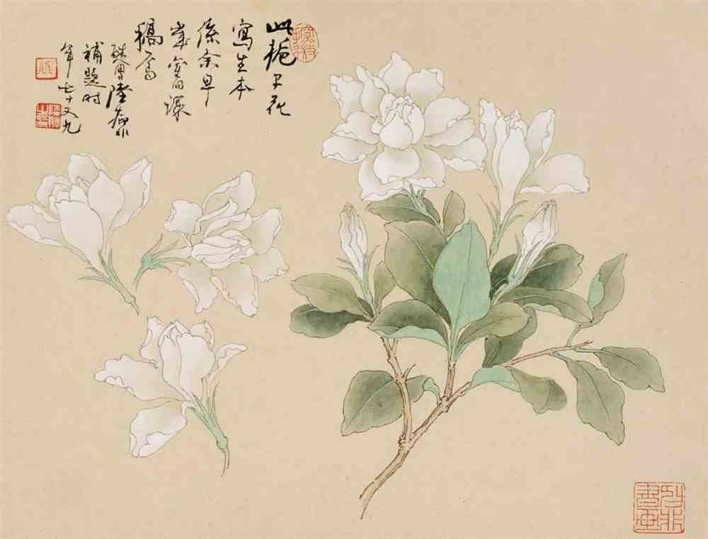陆抑非花鸟课徒稿太美了