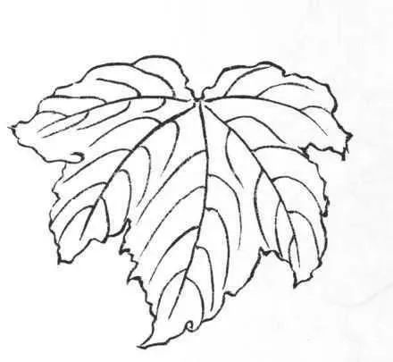 零基础工笔画教程工笔画叶子大全